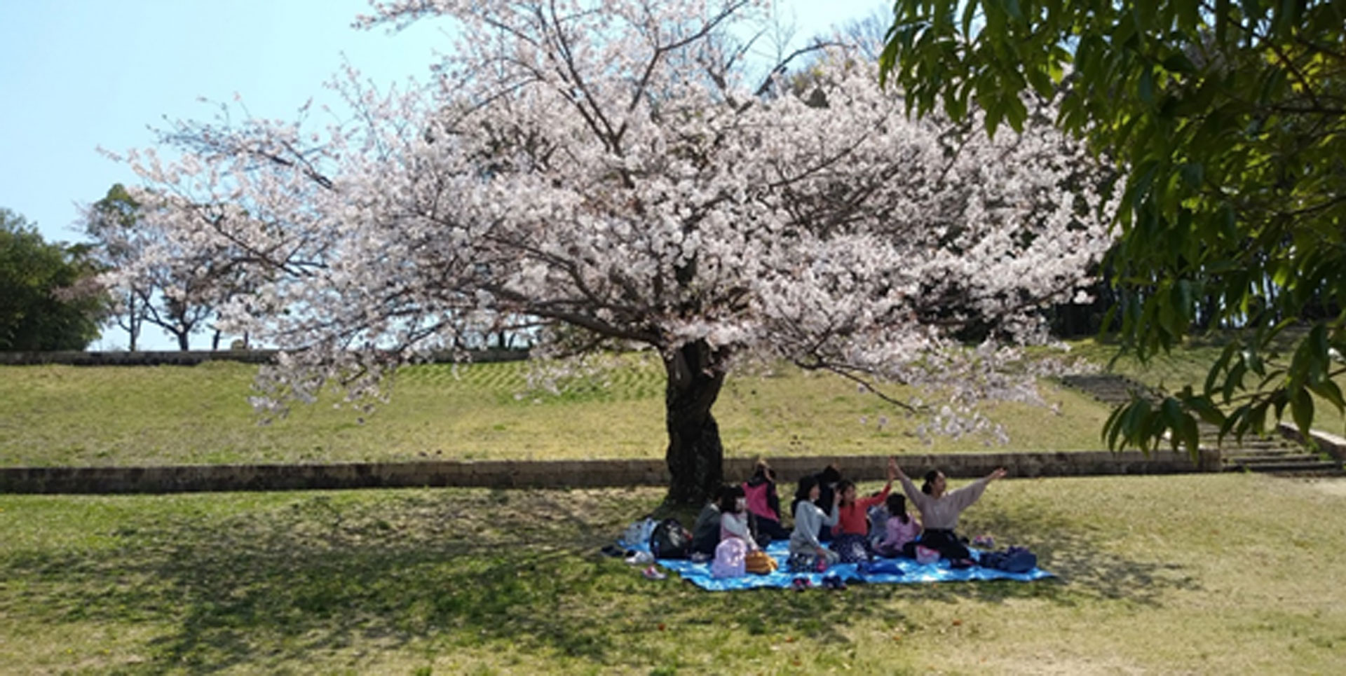 いっぽの会　法人案内